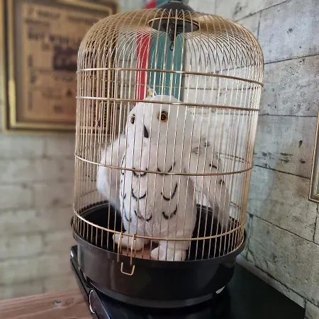 La Des Sorciers * 리에뱅